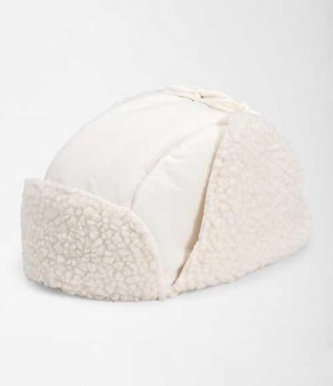 Sombreros The North Face Recycled Ridge Fleece Hombre Blancas | 7809451-UF